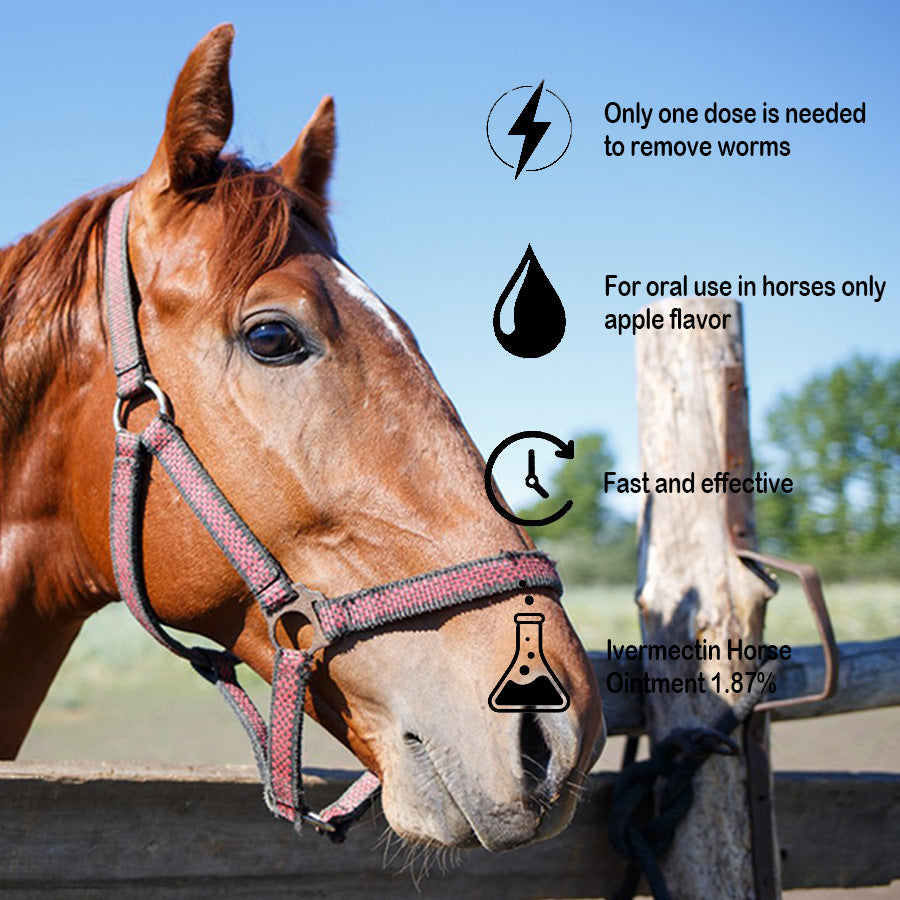 Gel Horse Insecticide-apple Flavor Cream