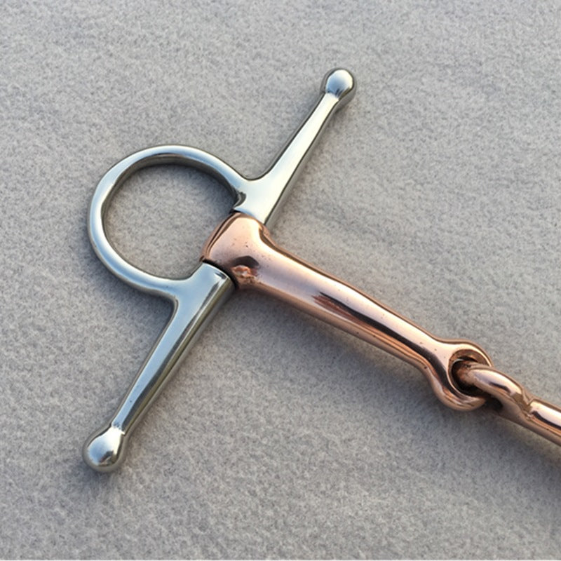 Horse-mouthed Armature With Bronze Horse Bit